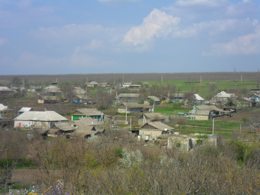 SAM_0852