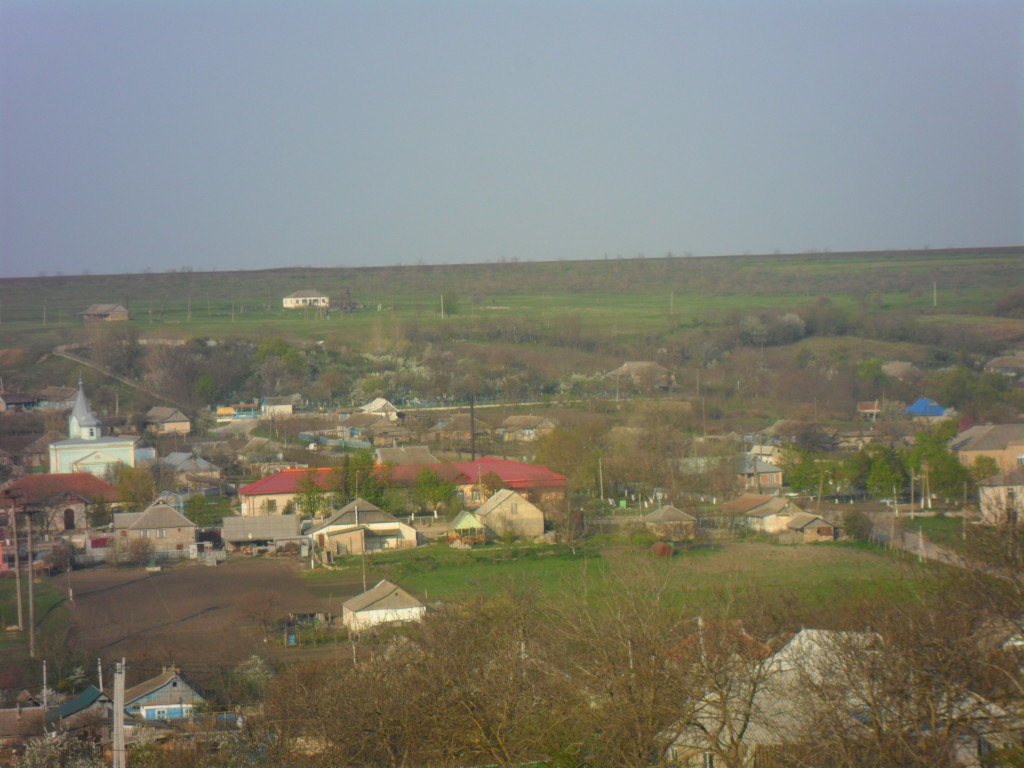 SAM_0857