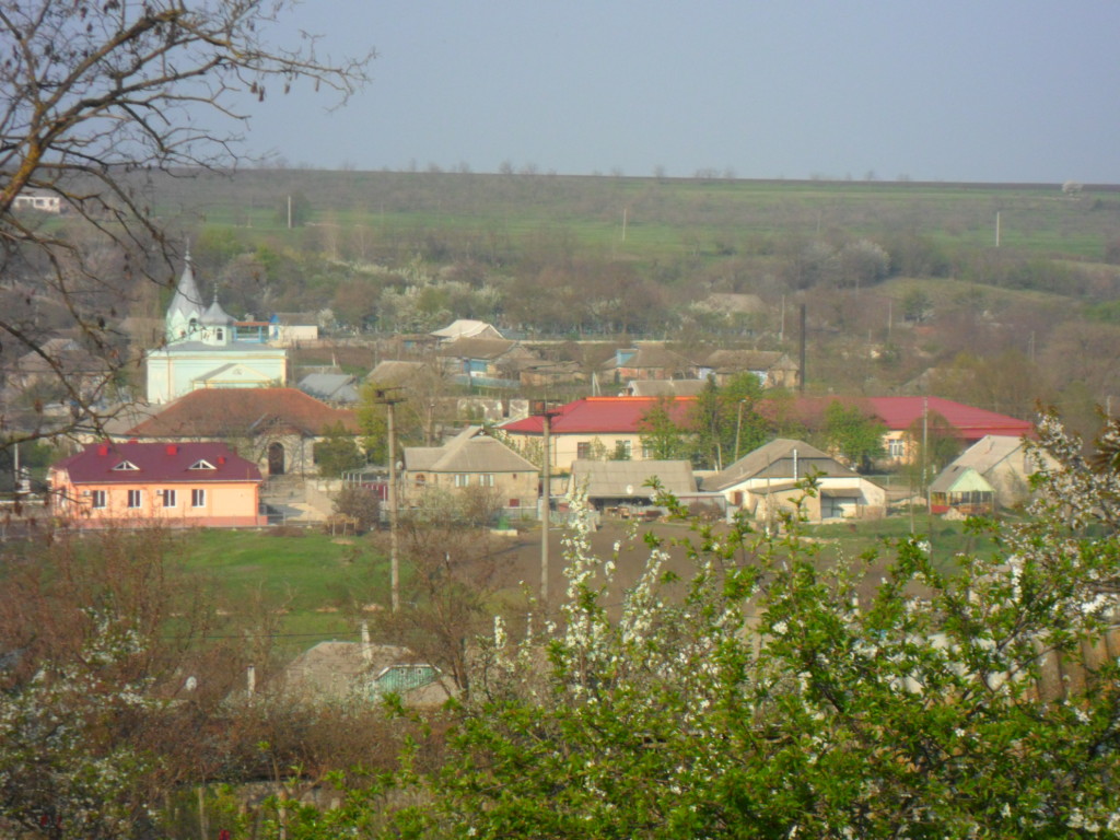 SAM_0859
