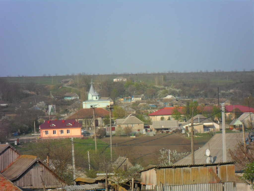 SAM_0860