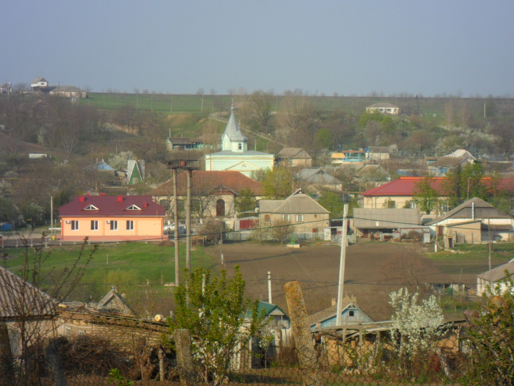 SAM_0861